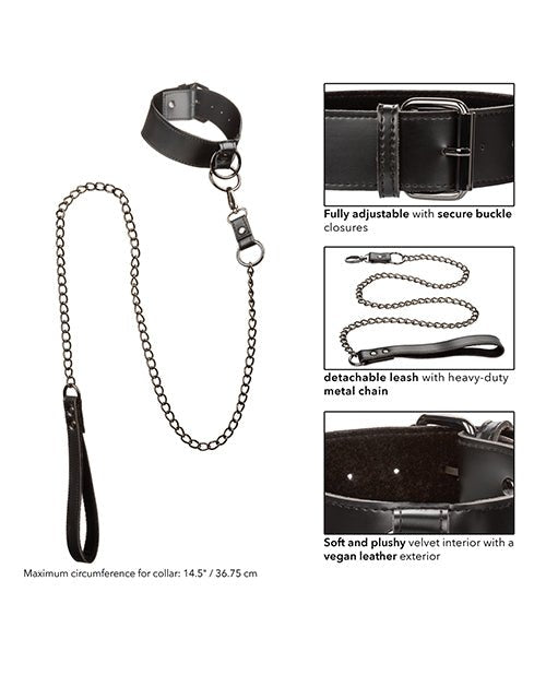 Euphoria Collection Collar W/chain Leash - BDSMTest Store