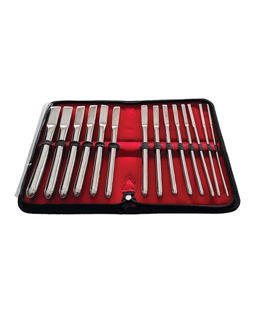 Rouge Stainless Steel Hegar Uterine Dilator Set - Set Of 14 - BDSMTest Store