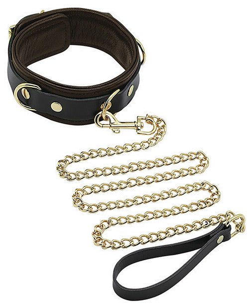 Spartacus Collar & Leash - Brown Leather W/gold Accent Hardware - BDSMTest Store