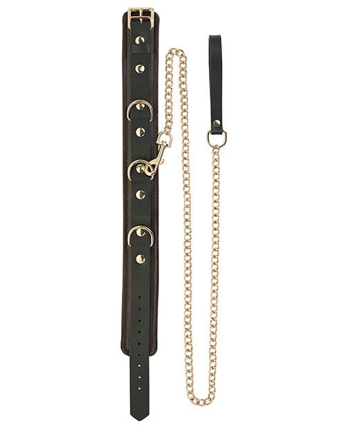 Spartacus Collar & Leash - Brown Leather W/gold Accent Hardware - BDSMTest Store